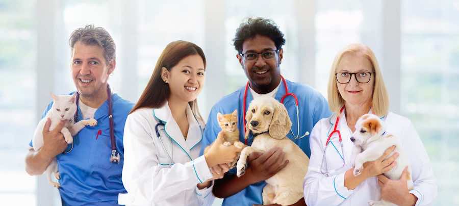 Register VET professionals